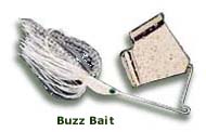 Buzz Bait